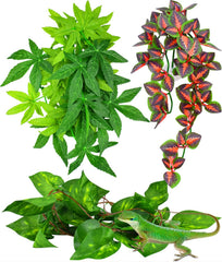 KATUMO reptile plants hanging with suction cups for secure terrarium decor.