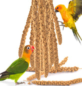 KATUMO Spray Millet Treats 7oz packaging shown for easy feeding and daily rewards.