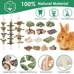 KATUMO watermelon shape treats provide tasty playtime enrichment