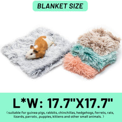KAYCOWZA plush-side detail highlights soft texture for small pets.