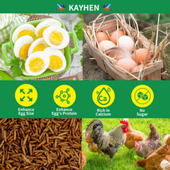 KAYHEN calcium-dense-larvae emphasizes calcium-rich feed for stronger egg shells.