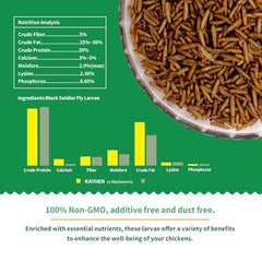 KAYHEN BSF larvae serving for chickens highlights protein-rich nutrition.