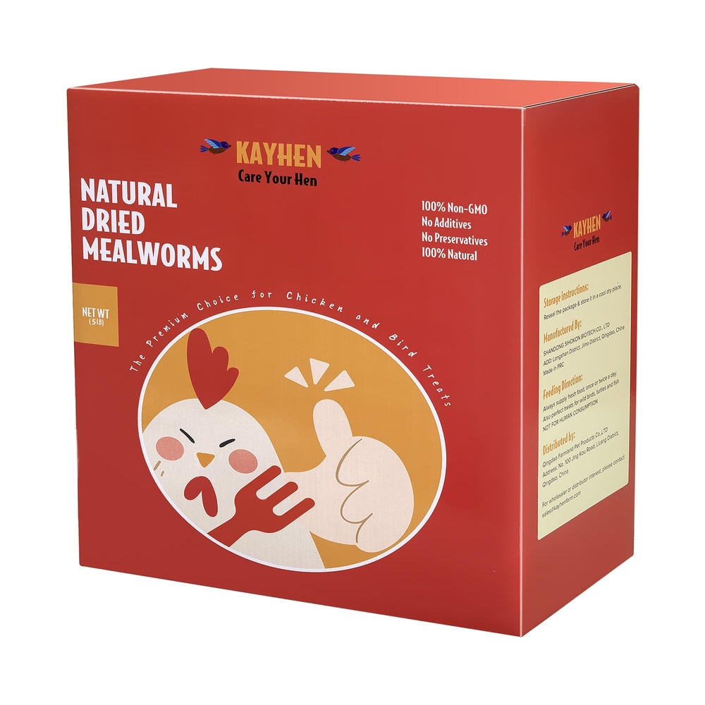 KAYHEN dried mealworms in a chicken bowl boosting protein for laying hens