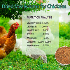 KAYHEN mealworms in resealable bag highlighting natural non-GMO poultry nutrition