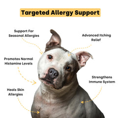 Kayode Colostrum Bee Pollen ingredients label highlights nutrients for histamine support.