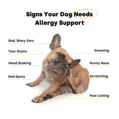 Kayode Itch & Allergy bottle open showing daily dose for itchy-skin support.