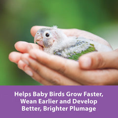 Kaytee Exact digestive enzymes aid digestion during weaning.