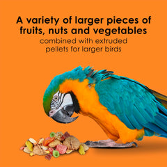 Kaytee Fiesta Big Bites Macaw Food pineapple, carrot, coconut visible in mix.