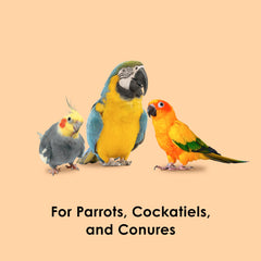 Kaytee Fiesta Papaya Bits during snack-time highlighting bite-sized fruit rewards for birds.