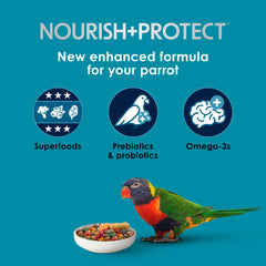 Kaytee Forti-Diet Pro Health parrot food close-up ingredients including fruits and nuts