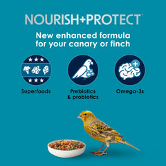 Close-up of Kaytee Forti-Diet Pro Health pellets highlights natural texture supporting skin and feather health.