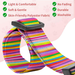 Kazazoo D-ring on the collar enables quick leash attachment during walks.