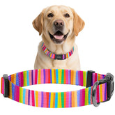 Kazazoo dog collar with soft nylon for comfortable daily wear on sensitive skin.