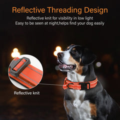 KCUCOP collar showing reflective stitching for low-light safety