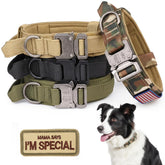 KCUCOP tactical dog collar camo XL buckle for secure everyday wear