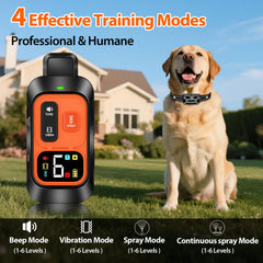 KDSZJDV remote control setup shown for two-channel training across two dogs.