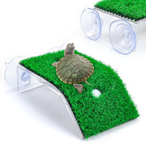 Keedolla small turtle basking platform with grass ramp for natural basking