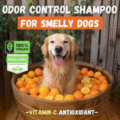 KELEBS dog shampoo bar citrus scent close-up suggests refreshing fragrance for clean coats.