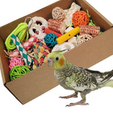 Kencunay Bird Toys open package showcases colorful foraging setup for curious parrots.