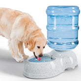 Kenond 3-gallon water-dispenser-station provides long-interval hydration for large dogs at home.