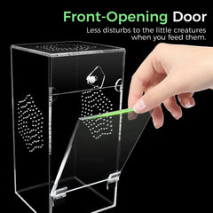 KERRLOTTE acrylic jumping spider enclosure 360 view showcases behavior from every angle with safety.