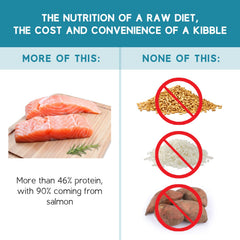 Ketona Salmon Recipe natural ingredients featuring real salmon for protein-rich meals