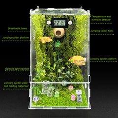 KFPSHLQE jumping spider enclosure interior layout with platforms for climbing