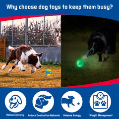 KGPERGU durable rubber dog toy stands up to chewing and energy release