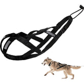 KH866 dog pulling harness X-back front view showing balanced pulling design for Nordic activities
