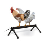 K&H Thermo Chicken Perch installed in coop setup providing warm perch for birds