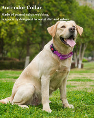 Kidding Pets coated nylon waterproof close-up, resistant to dirt and odors