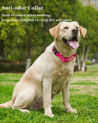Kidding Pets waterproof coated nylon texture is durable