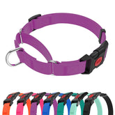 Kidding Pets waterproof martingale collar purple front view, durable for outdoor walks