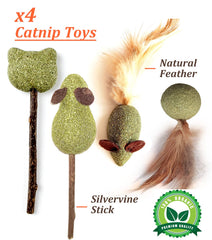 Kidpet frog plush toy to encourage playful pawing.