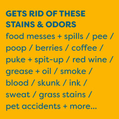 KIDS 'N' PETS stain remover used on furniture for a fresh, odor-free feel.