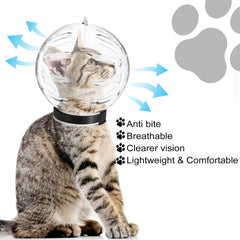 Kifmurase cat bubble-muzzle-nail-trimming reduces bites during handling.