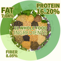 KikiBirds premium parrot food kibble texture emphasizes easy picking and balanced nutrition