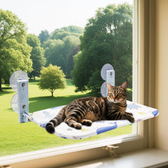 Kiluiu cat window perch with four suction cups securing a stable sunbathing spot
