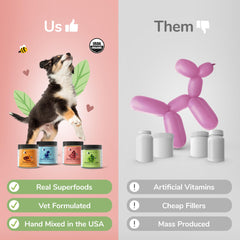 kin+kind multivitamin powder sprinkled on pet food for easy daily care