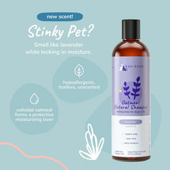 kin-kind oatmeal shampoo ingredients close-up showing coconut oil olive oil and colloidal oatmeal.