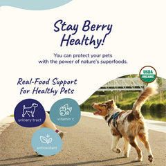 kin+kind organic cranberry powder highlighting urinary tract wellness benefits
