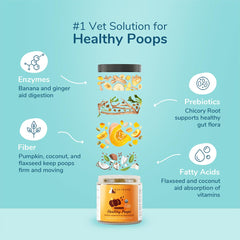 Kin-kind Organic Pumpkin Powder dog bowl highlights natural ingredients for gentle digestion.
