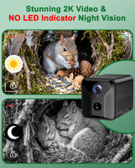 KinetCam Squirrel Box solar panel captures sun powered monitoring for extended sessions.