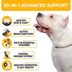 Kinpur Dog Multivitamin chews in hand suggest easy daily dosing for busy owners.