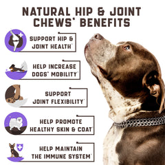 Kinpur hip-joint dog chews product shot highlights natural hemp oil benefits for mobility