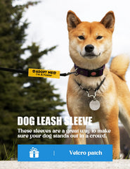 KISJO foster dog leash wrap close-up showing Velcro compatibility for secure fastening