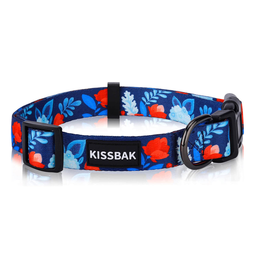 KISSBAK dog collar small dogs vivid-rose pattern for everyday wear and stylish photos