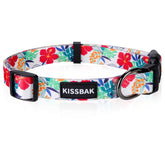 KISSBAK hibiscus red dog collar for small dogs—stylish daily wear with secure buckle