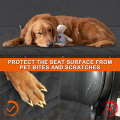 Kistrba storage pockets keep treats and leashes within reach