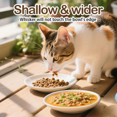KITCHENLESTAR bowls feature a smooth, non-porous glaze for easy cleaning and safety.